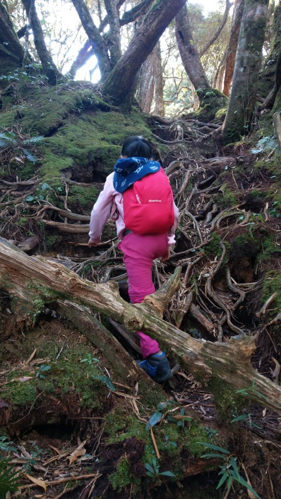 2020.03.08塔曼山_874937