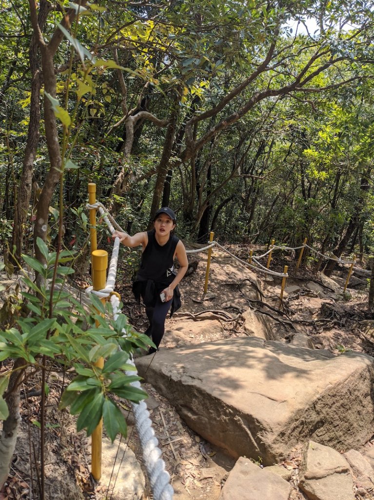 金面山親山步道封面圖