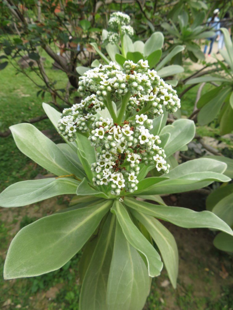 北投懷舊小旅行_564667