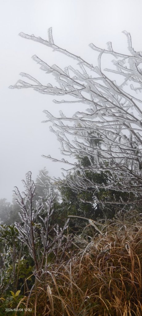 #霧淞 #雲海 #雲瀑 #霧虹 #太平山 #望洋山 #觀雲步道 #翠峰道路  2/8_2995340