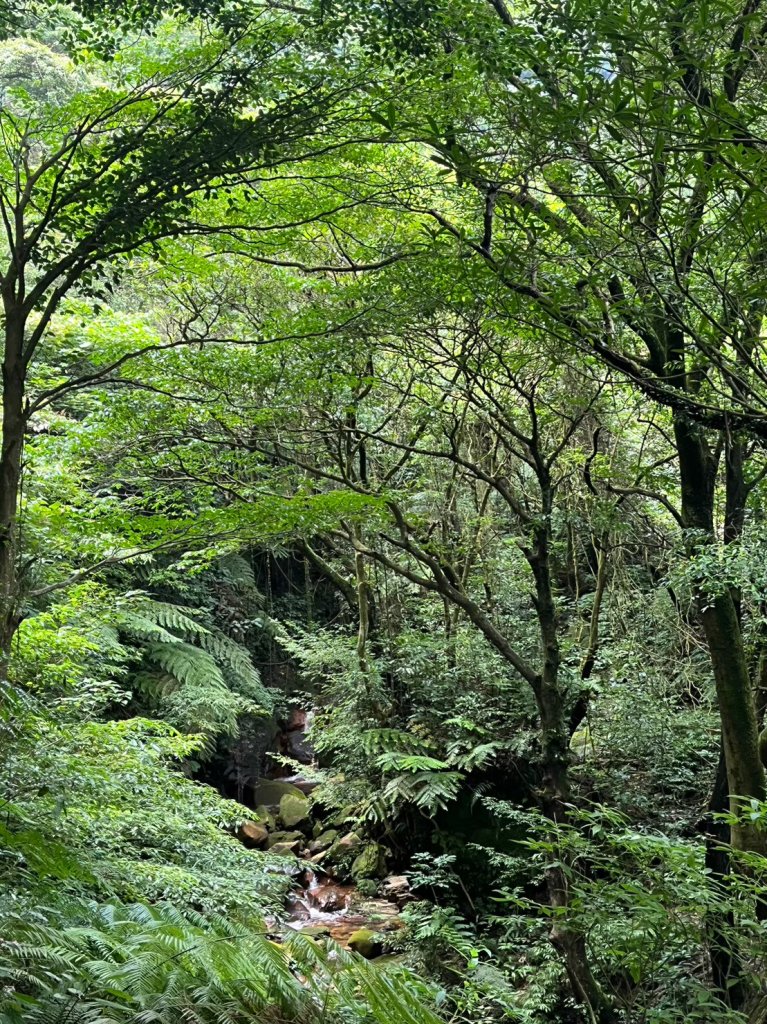 台北 陽明山 絹絲瀑布-擎天崗_2722163