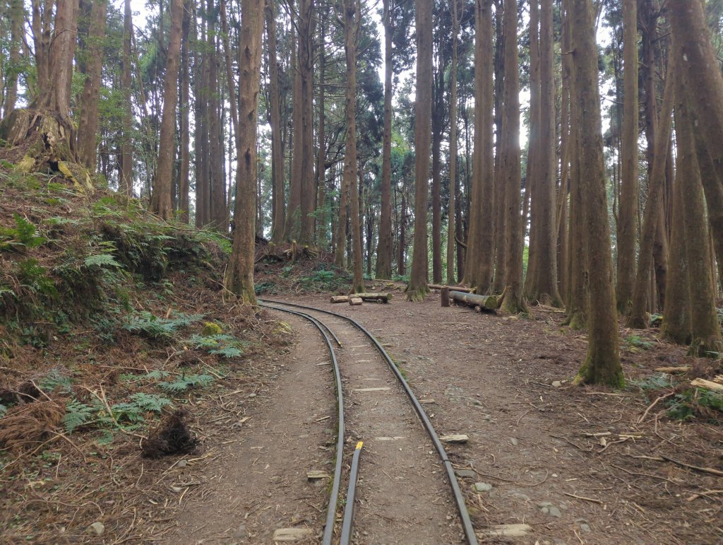 2026.02.14－特富野古道_3013706