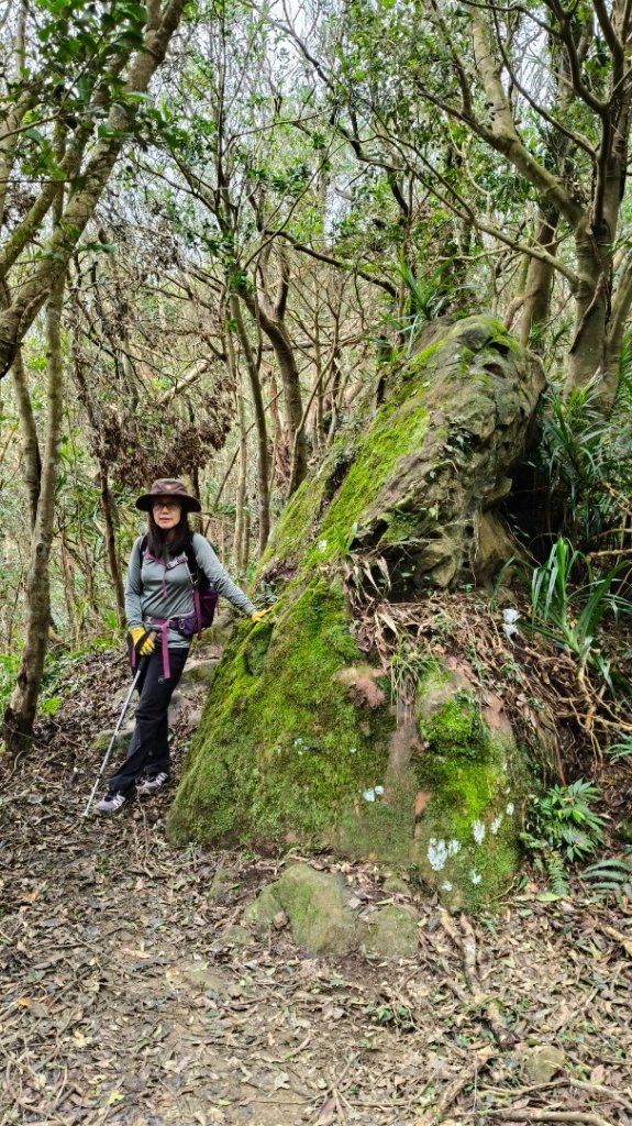 筆架連峰1131124_2653244