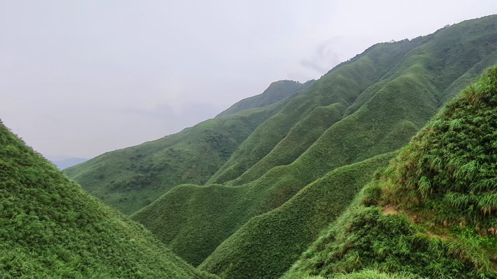 【中級山】宜蘭抹茶山（三角崙山），聖母登山步道，五峰旗瀑布_2741069