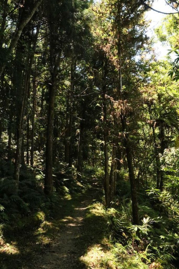 瓦拉米步道_347778