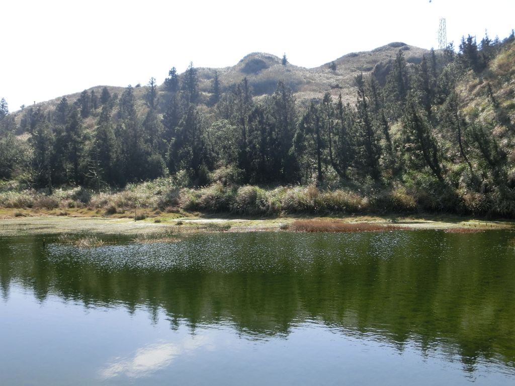 苗圃．七星公園．夢幻湖．冷水坑封面圖