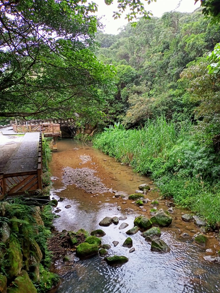 【臺北大縱走 4】年終漫遊內湖三尖趣：圓覺尖、忠勇山、鯉魚山_1557302