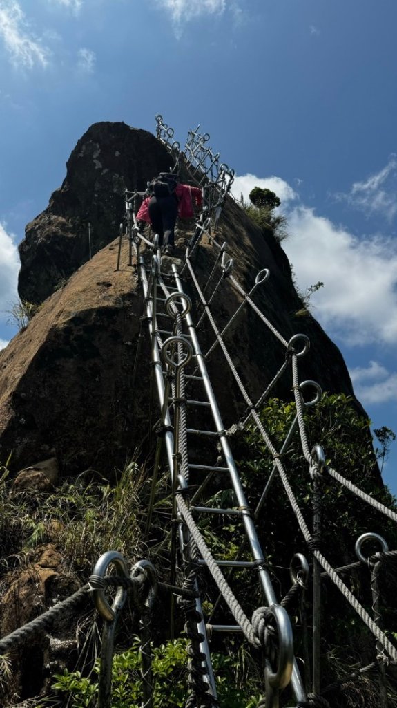 孝子山、普陀山、慈母峰賞鹿子野百合O走_2592914