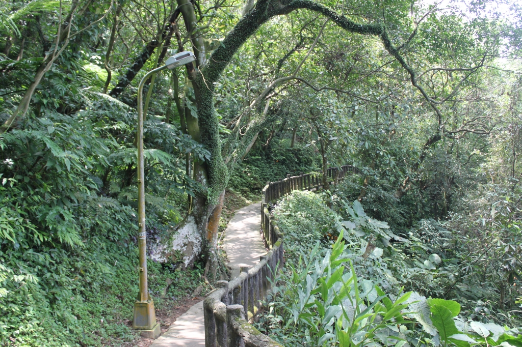 20160515台北虎山步道_90815