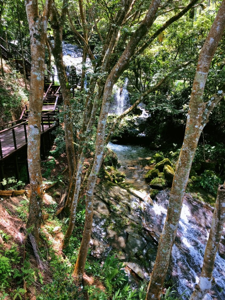 嘉義涼夏新亮點：太興飛瀑步道_598320