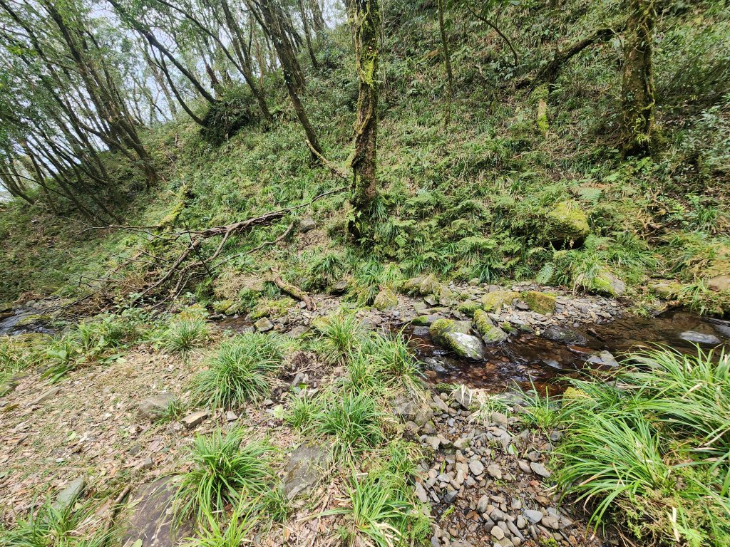 20250302樂佩山_2754742