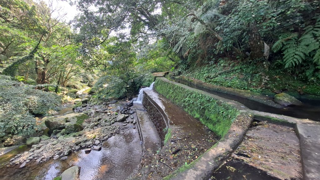 20240305坪頂古圳-登峰圳-內雙溪古道-瑪礁古道-大崎頭步道O繞封面圖