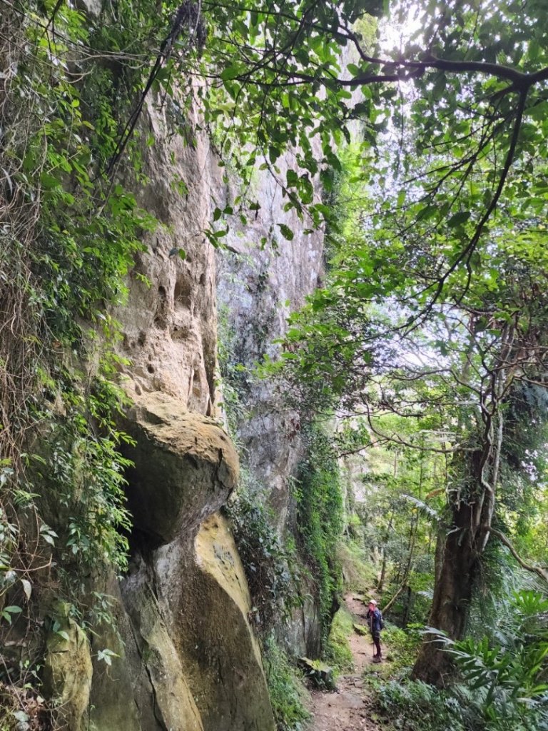 大溪打鐵寮古道白石埤線上白石山封面圖