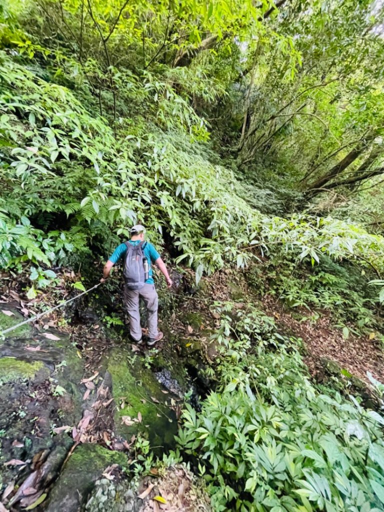 淡蘭中路（暖暖車站-十分車站）_1685443