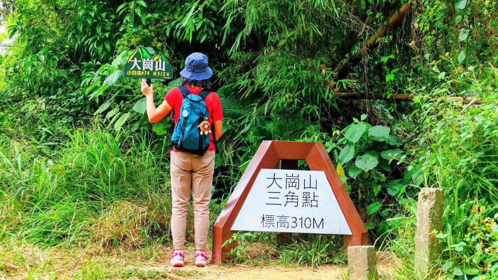 大崗山,盤龍峽谷封面圖