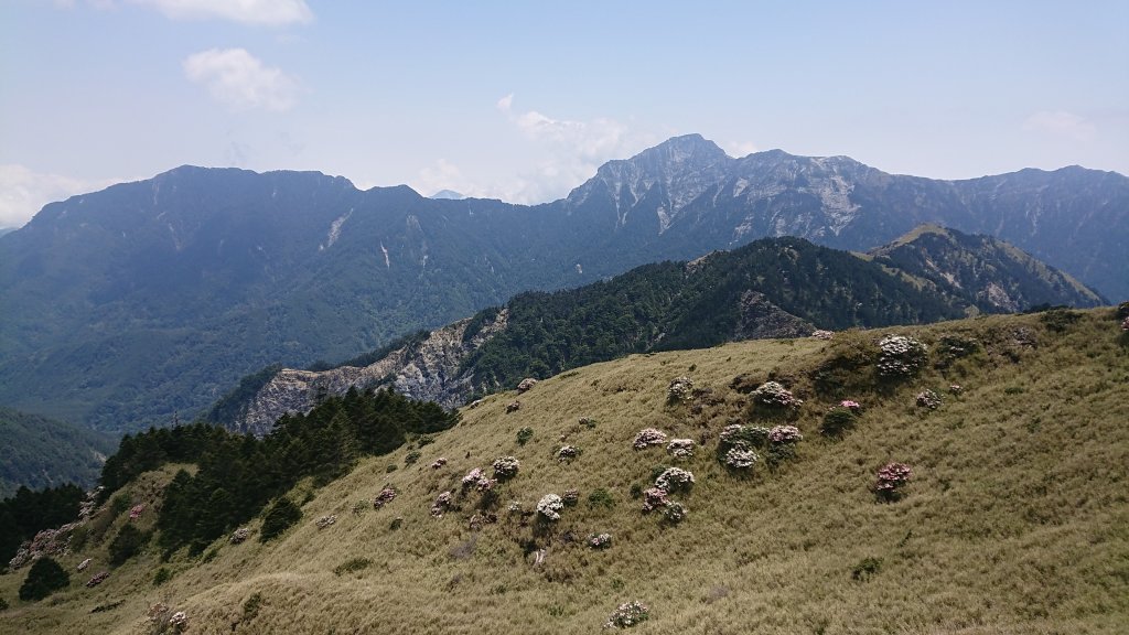 合歡山東峰_1727196