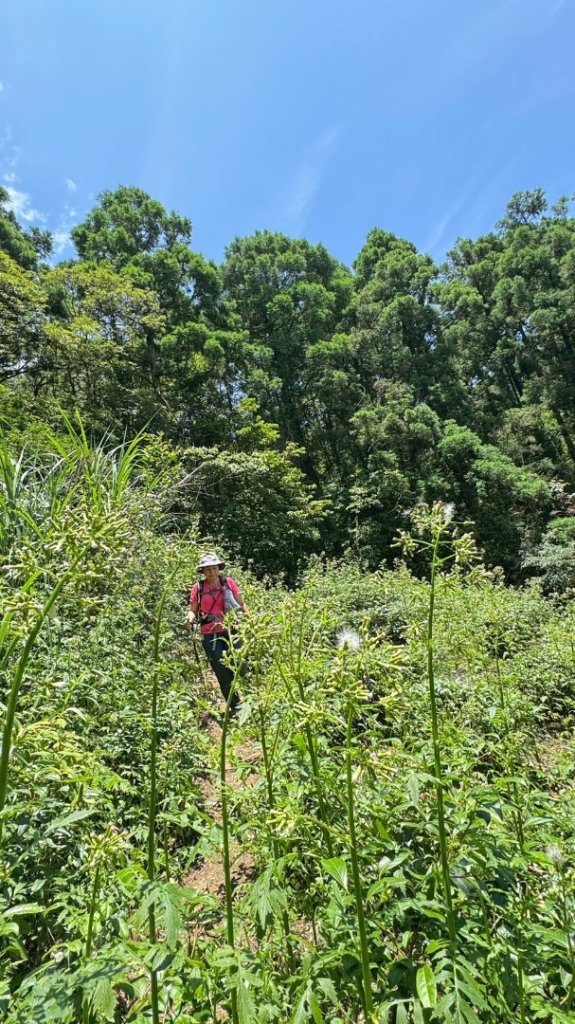 南勢坑山、鑽石峰、人面頭山、獅公髻尾山O走_2809770
