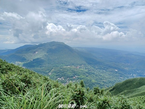 【台北北投】搭捷運公車爬山趣。 小百岳集起來。編號1小百岳~大屯山主峰步道封面圖