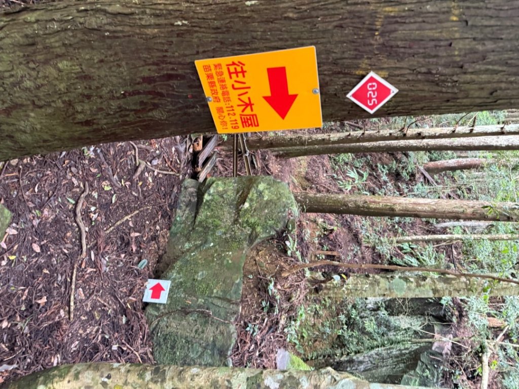 20250607 春谷養鱒場所上加里山 出大坪_2805220