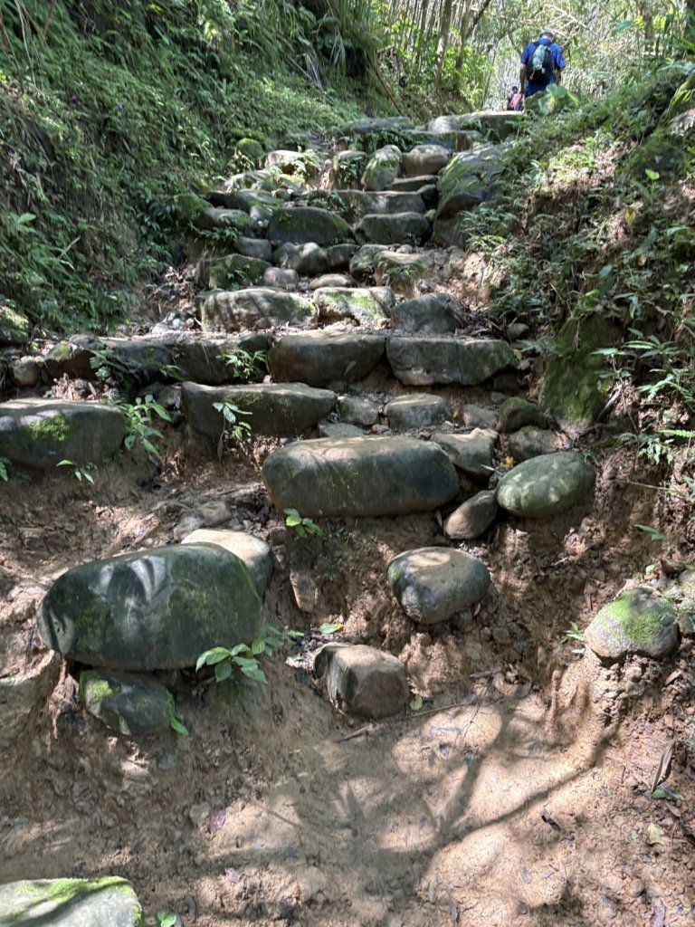20250830台南關仔嶺大凍山步道_2914698