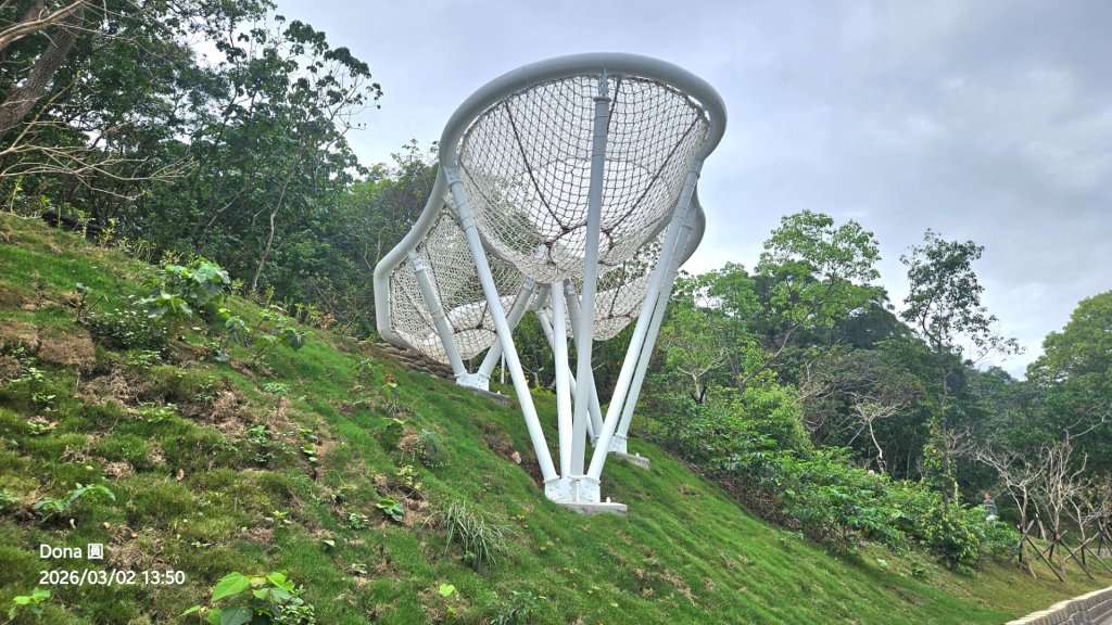 20260302忠義山.小坪頂山.貴子坑山大O走_3009945