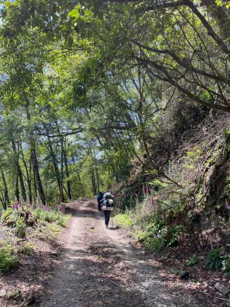 楠梓仙溪上南玉山_1373023