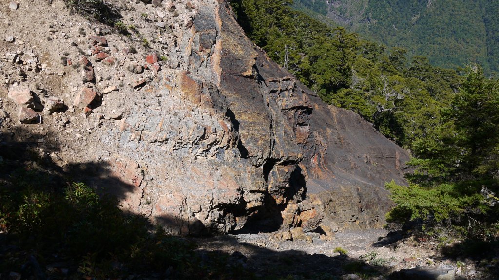 池有山單攻登山健行趣(百岳52)_1515334