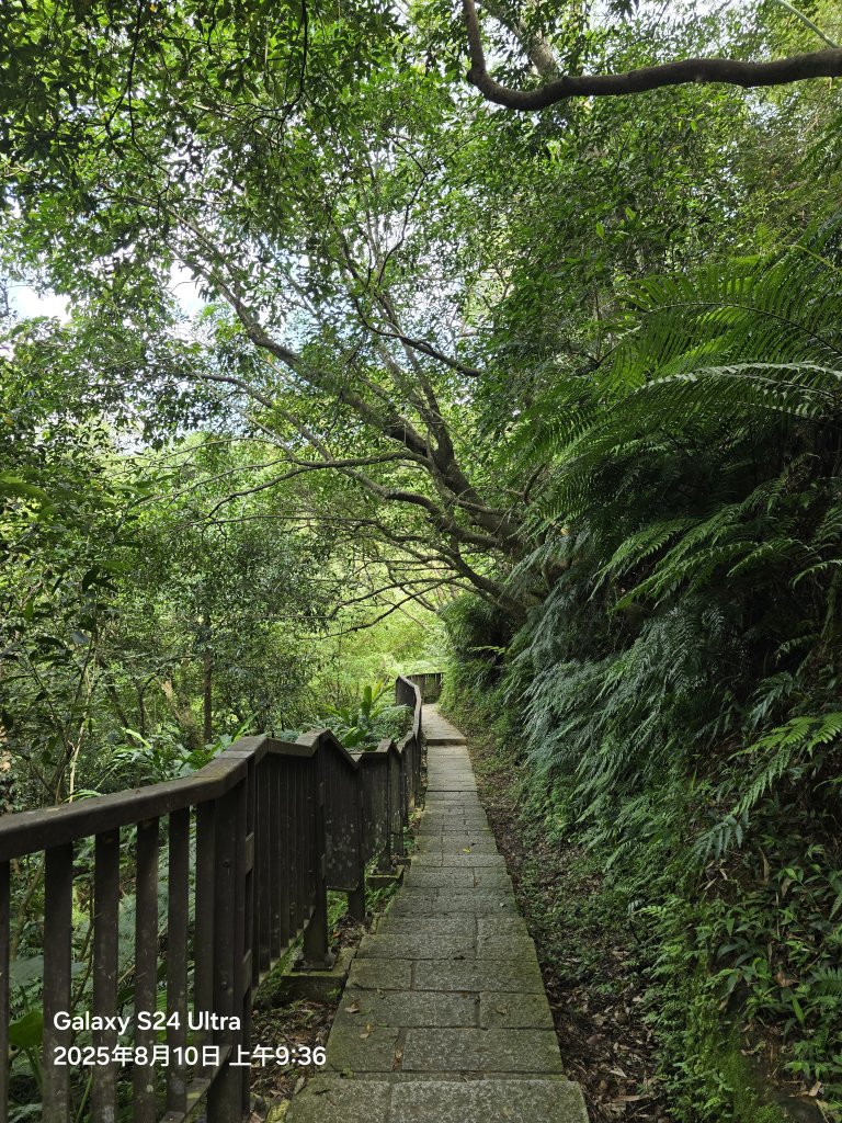 2025-08-10臺北大縱走第六段：中華科技大學至捷運麟光站_2856574