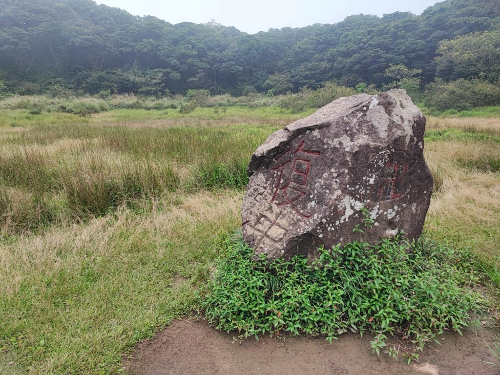 面天山、向天山步道 - 走遍陽明山尋寶任務封面圖