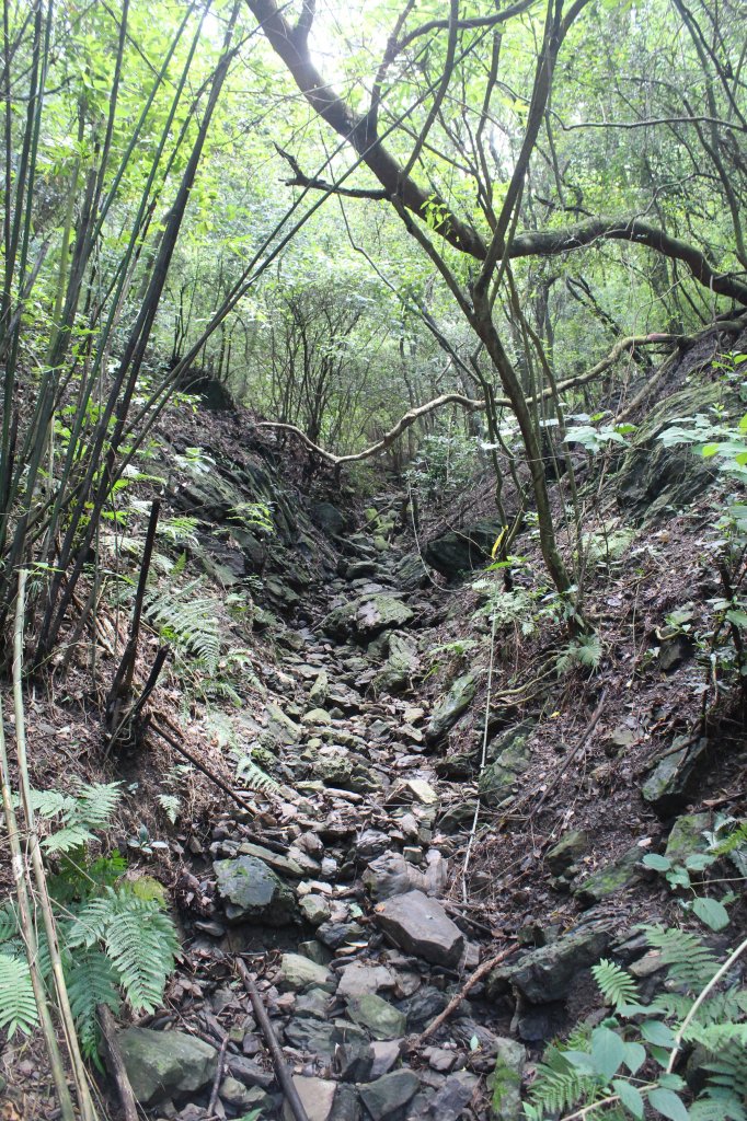 20210904屏東力里山_1453810