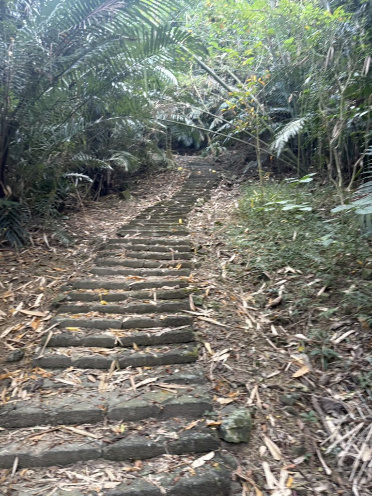 烏山縱走北段 雲山寺至刣牛湖山(途經風空子山.孟璋山.烏山.刣牛湖山北峰)_2928750