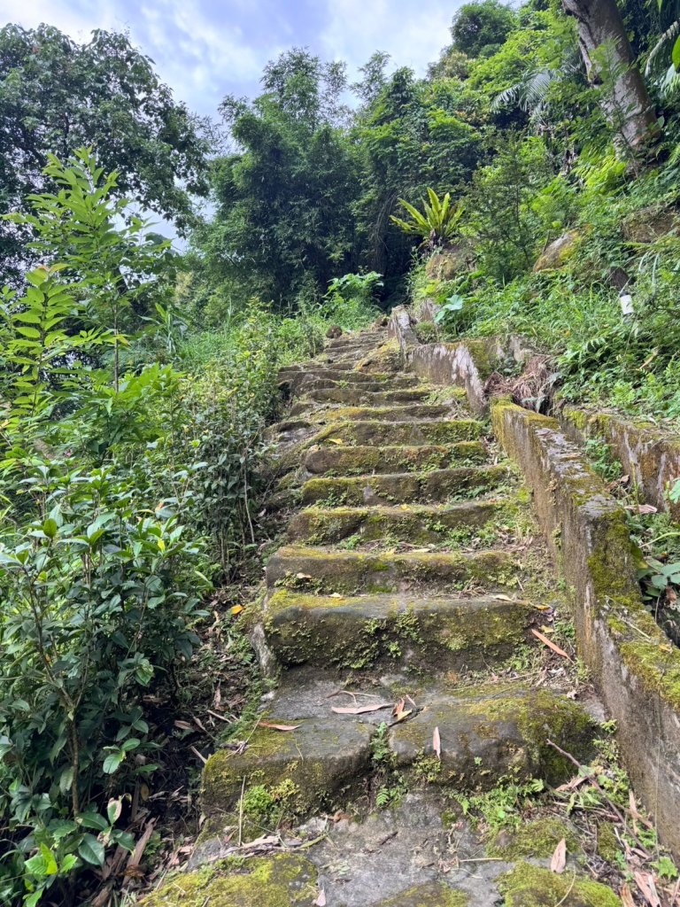 【新北】獅頭山(小獅山)步道_2512184