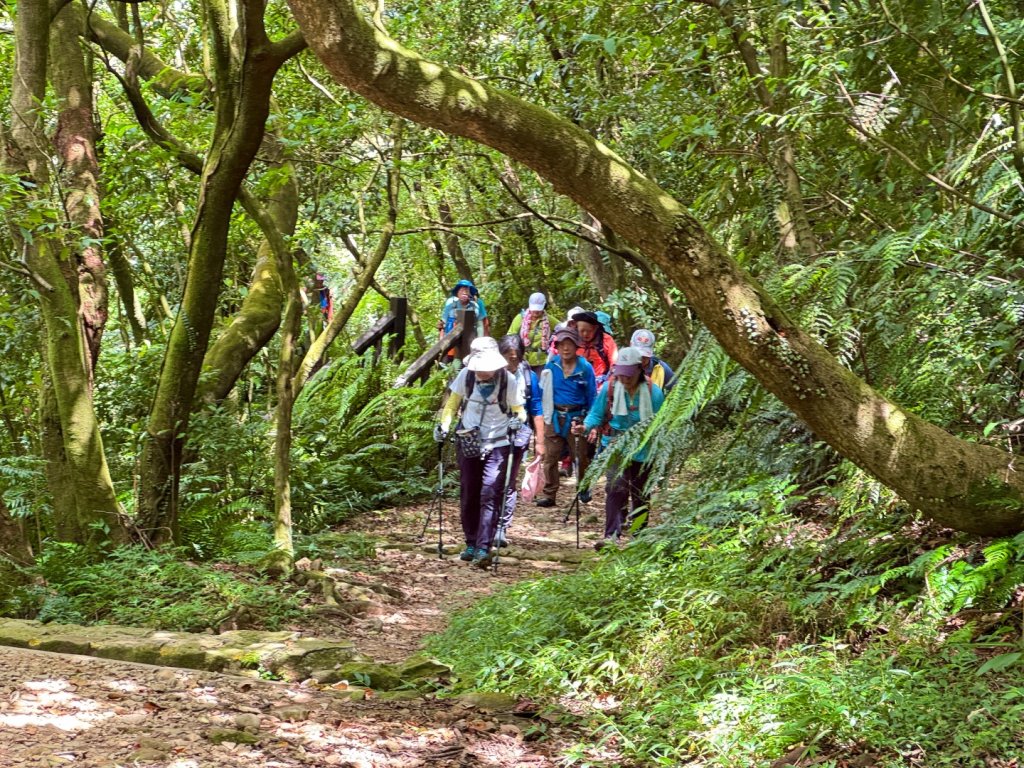上磺溪橋走魚路古道/金包里城門/擎天崗/冷水坑_2872115
