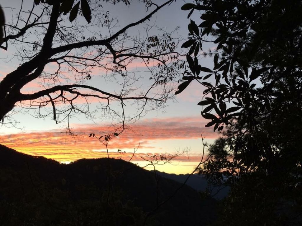 鳶嘴稍來山步道_303798