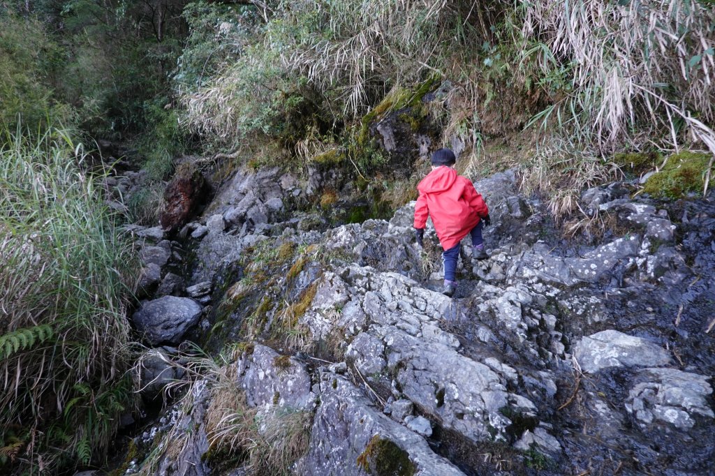 阿興阿賢北大武山_870739