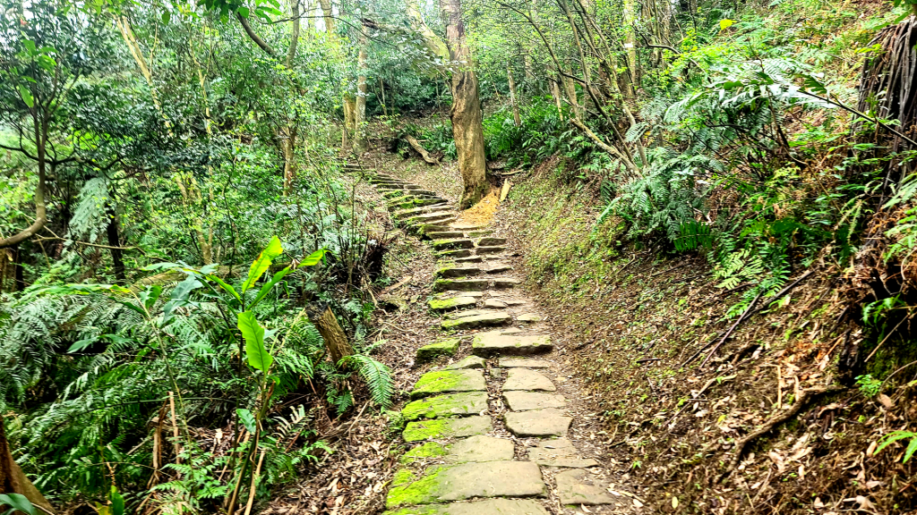 2025-0104 造鎮_五城山_天上山_三粒半_火焰山_慈惠堂_土城大潤發_2682148
