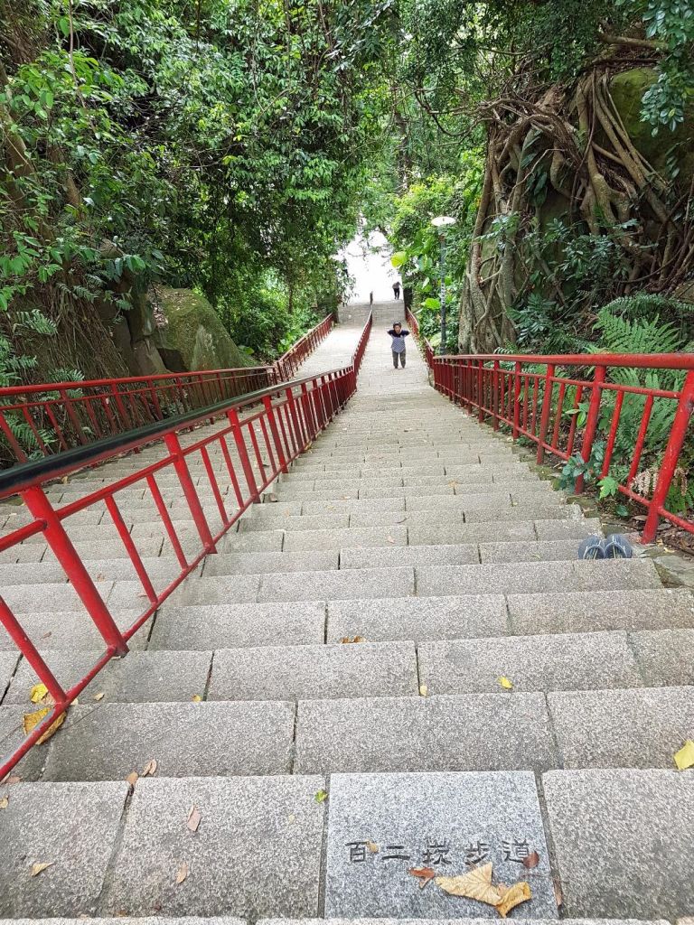 芝山岩綠生態步道_178615