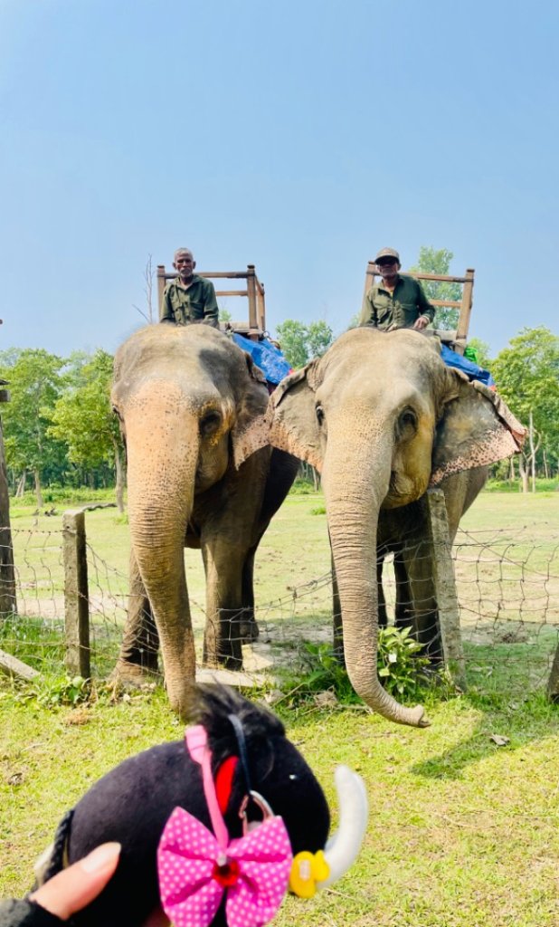 尼泊爾奇旺國家公園4天三夜_2788856