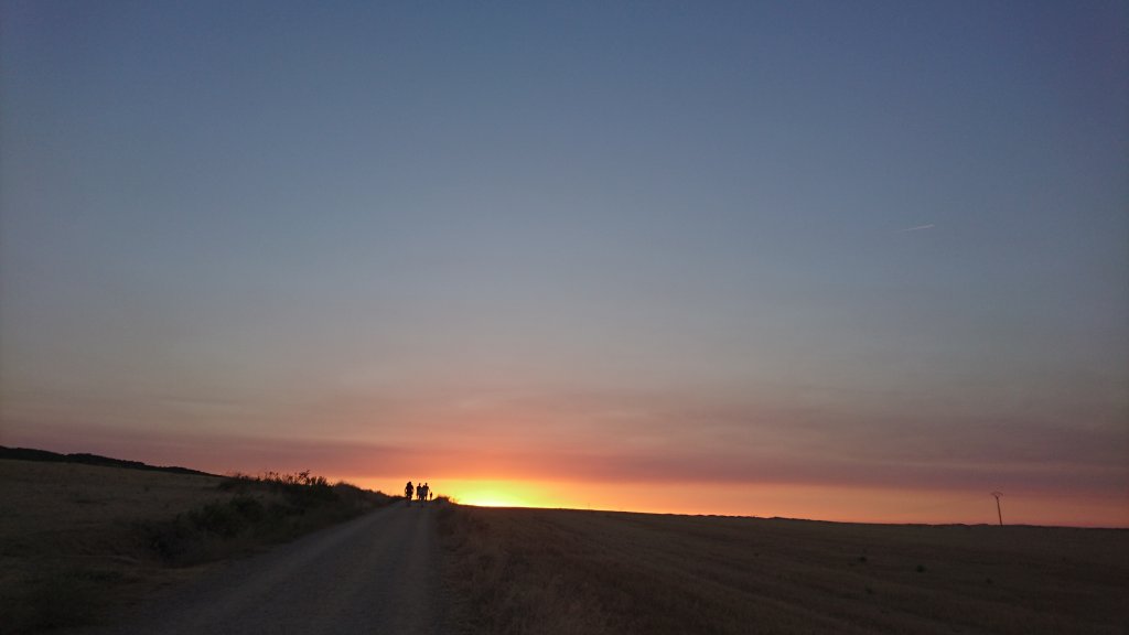 2016法國之路_918084