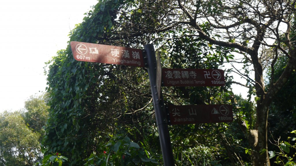 觀音山登山健行趣(小百岳05號)_1632341