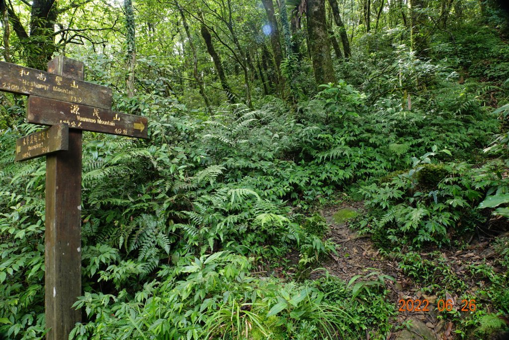 新北 坪林 源茂山(樟枯坑山)_1746023