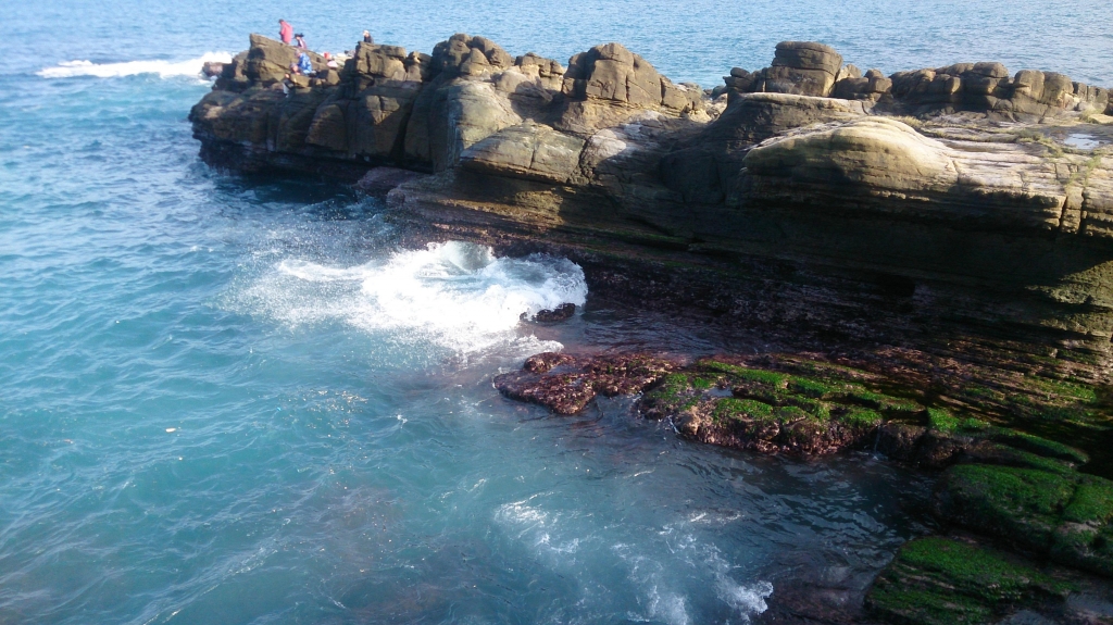 忘憂谷．潮境公園2016.02封面圖