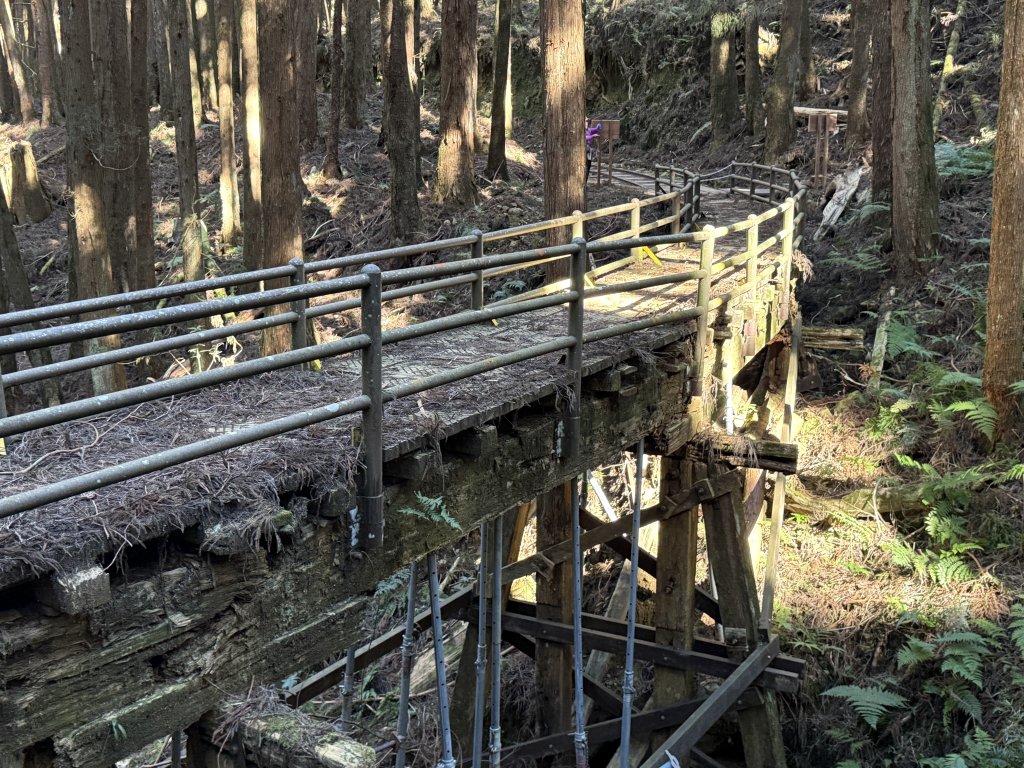 特富野古道_2666644