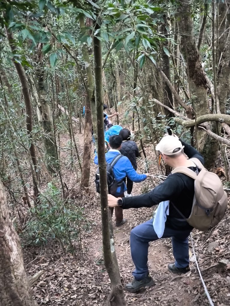 2026-01-18 埔里關刀山_2989606