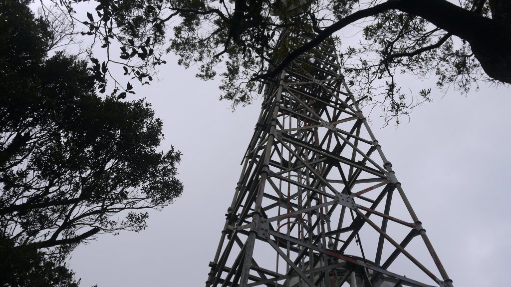 三員縱走登山健行趣(郊山)_1611521