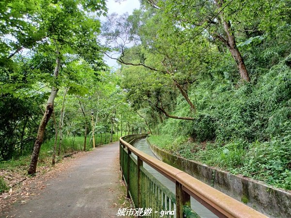 【台中外埔】沿著水圳散散步。 外埔水流東桐花步道封面圖