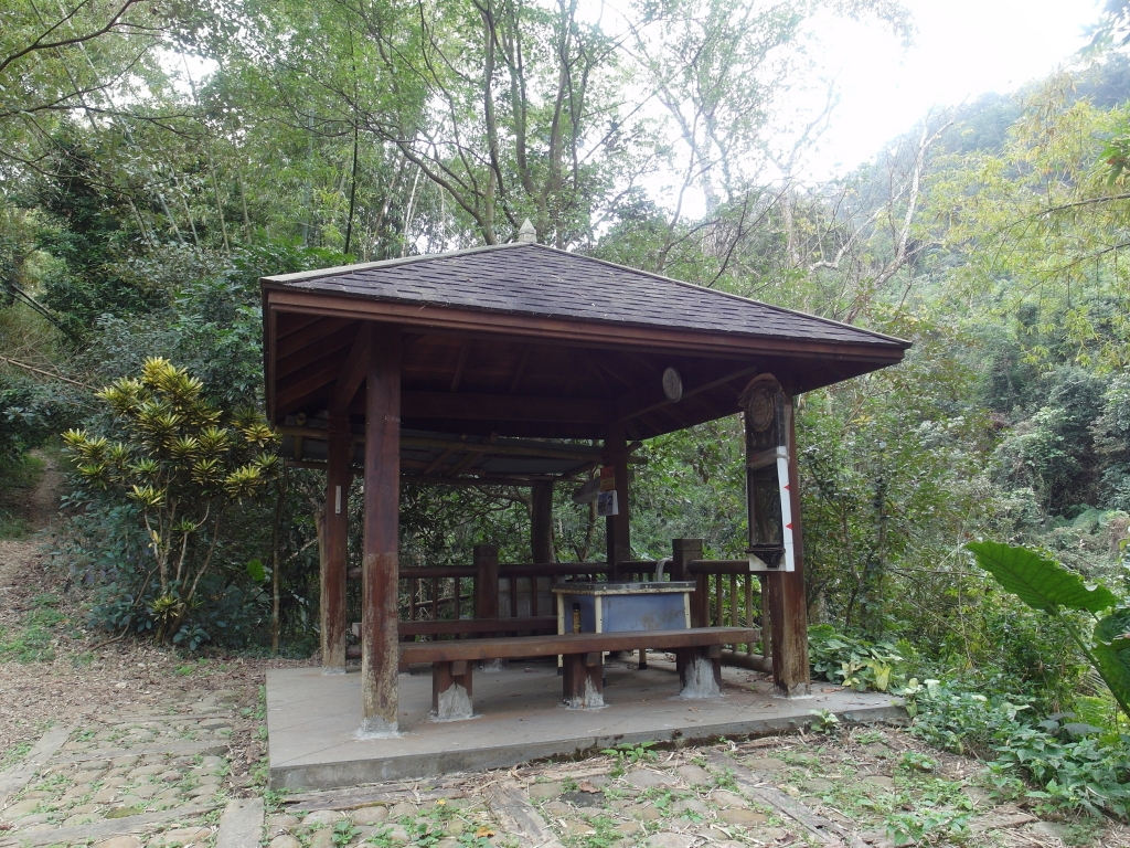 清水岩~中央領~橫山觀日~山湖步道之旅_96737