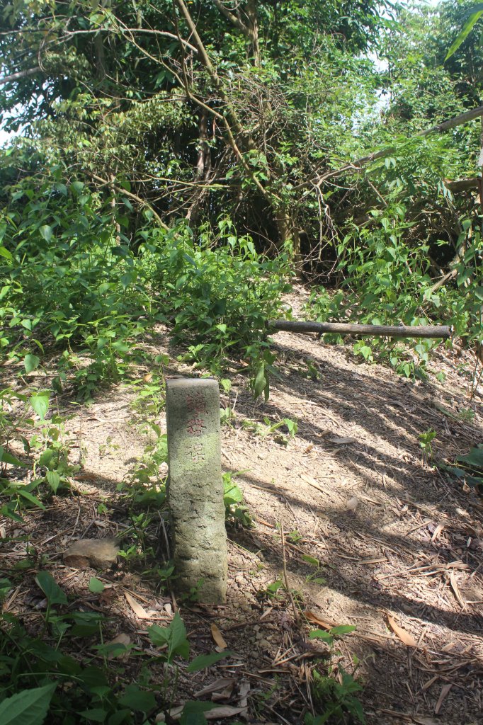 20240622高雄三狗縱走_2534162