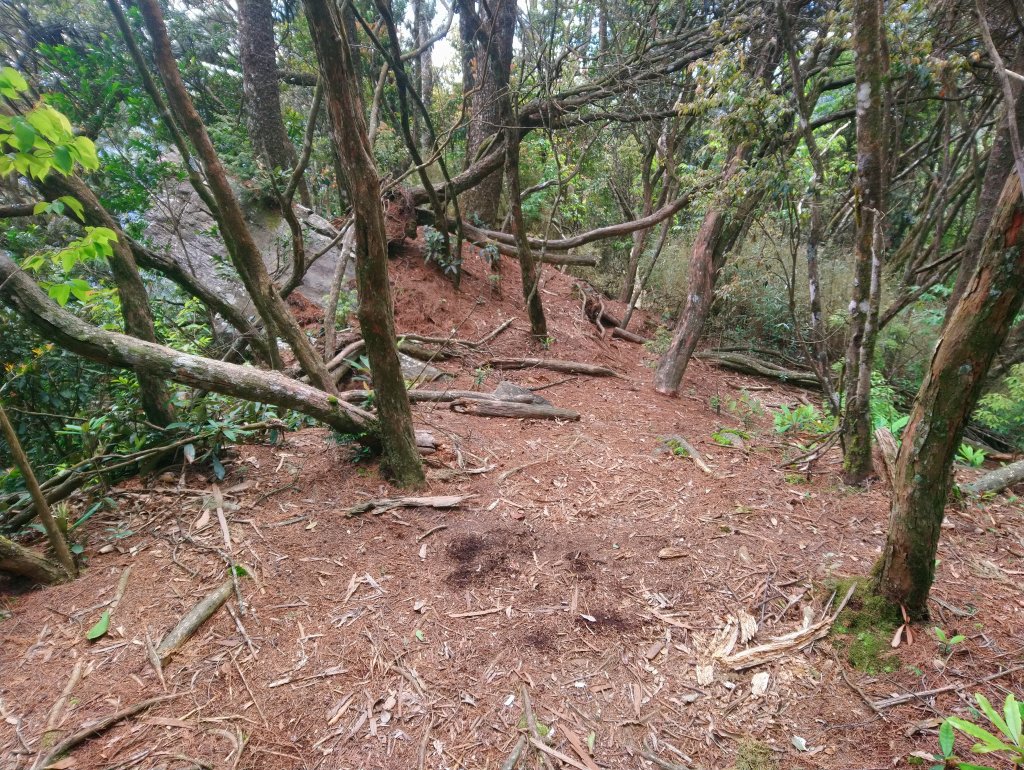 鳶嘴西稜到鳶嘴山O型回到19K大水桶_944966