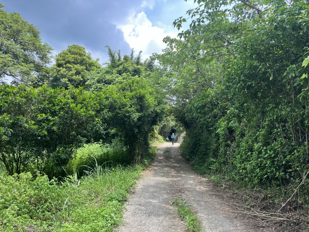 [皮皮獅Hike客任務-02/10] 2024_0720 渡南古道+飛鳳古道封面圖